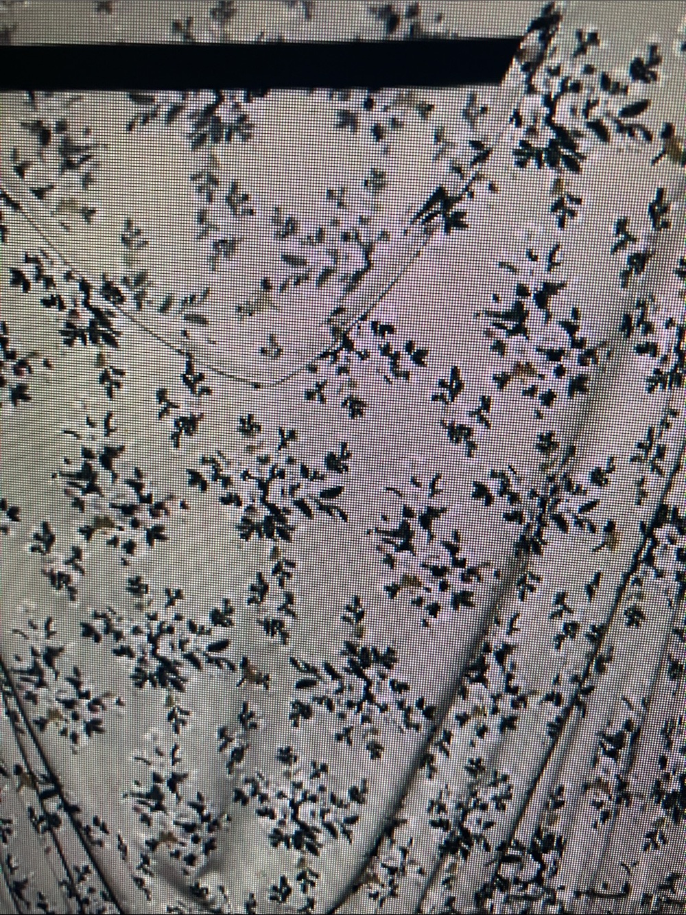 SJS Cream Blouse with Black Floral Print - Picture 3 of 5